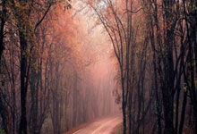 爱游戏体育：[天下足球]特拉奥雷超级世界波领衔一周十佳进球.