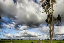 爱游戏体育：运动汇丨春节饭局多易诱发肛肠疾病 三招教你远离“菊”部烦恼2025-02-05.