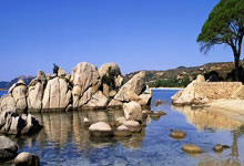 爱游戏体育：东部无缘季后赛首队！奇才遭魔术9连杀 坐稳联盟倒数第一.